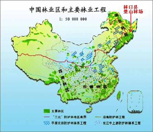 ����λ��